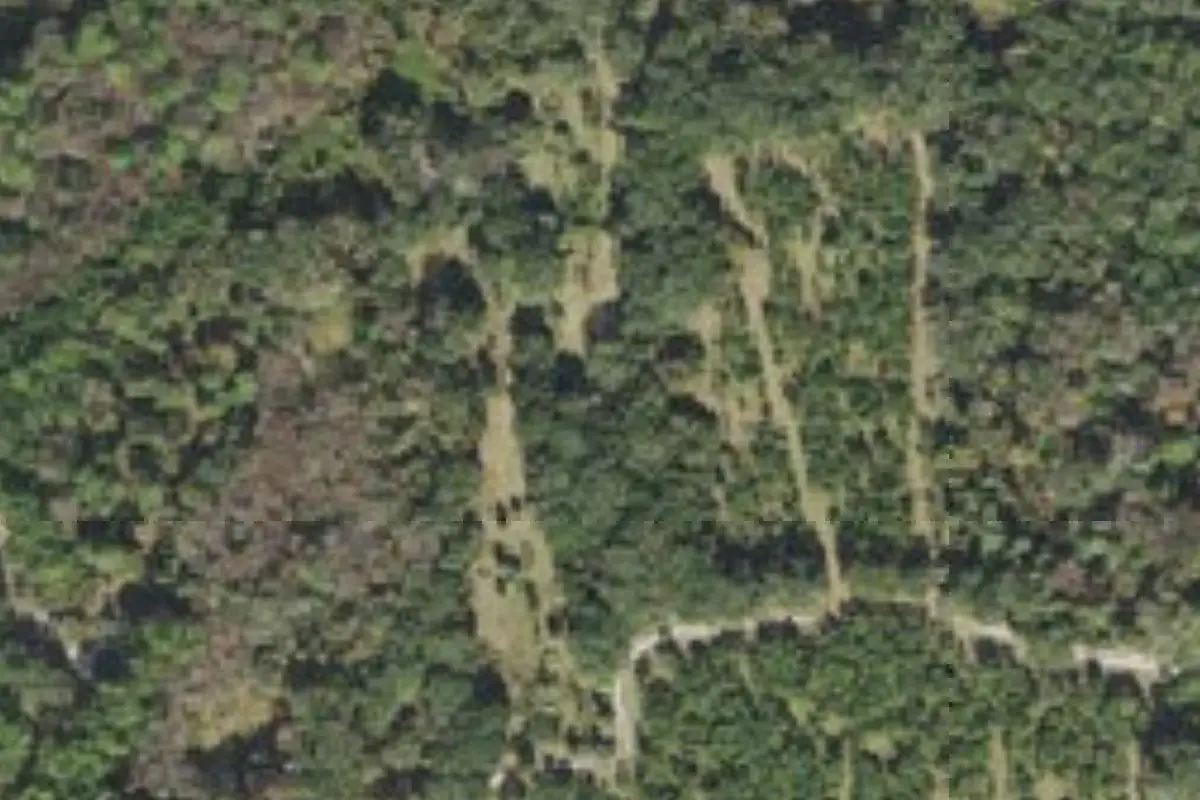 Aerial view of Orange Creek Restoration Area campsites