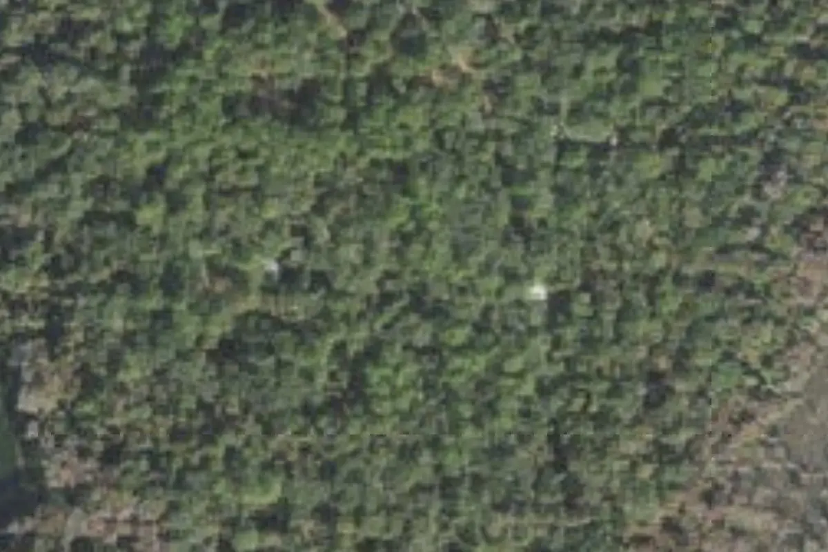 Aerial view of Paynes Prairie Preserve State Park