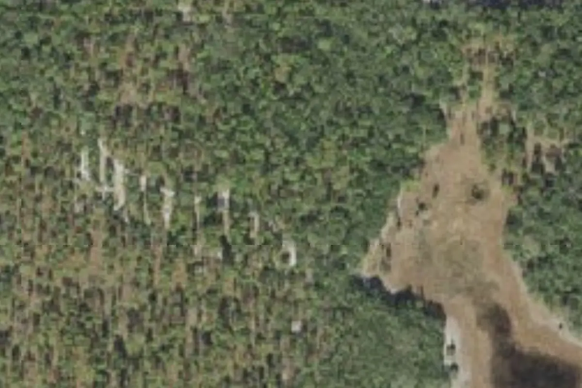 Aerial view of Watermelon Pond Primitive Campsites Goethe State Forest