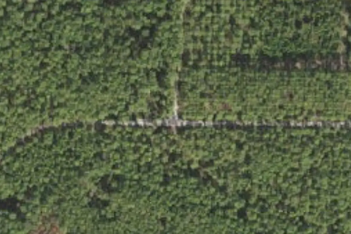 Aerial view of Group Landing (Landing Group Site)