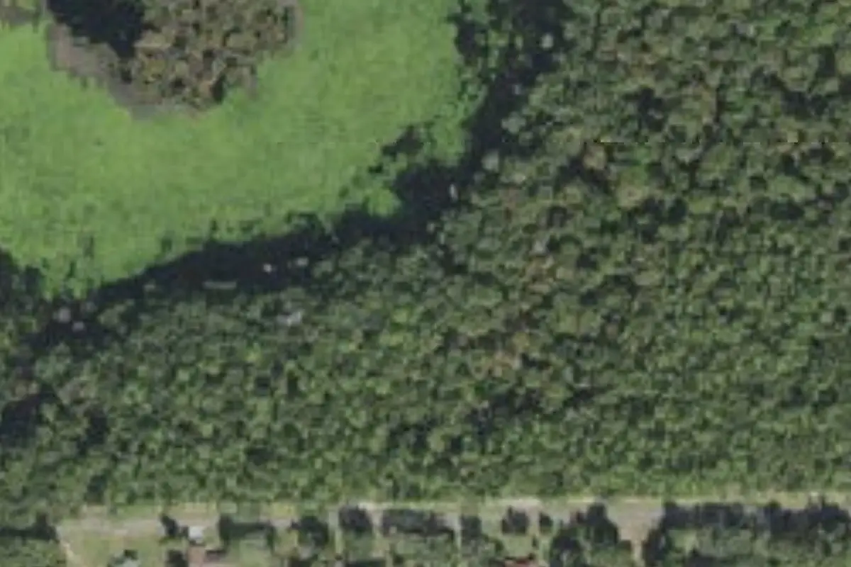 Aerial view of Fort Cooper State Park