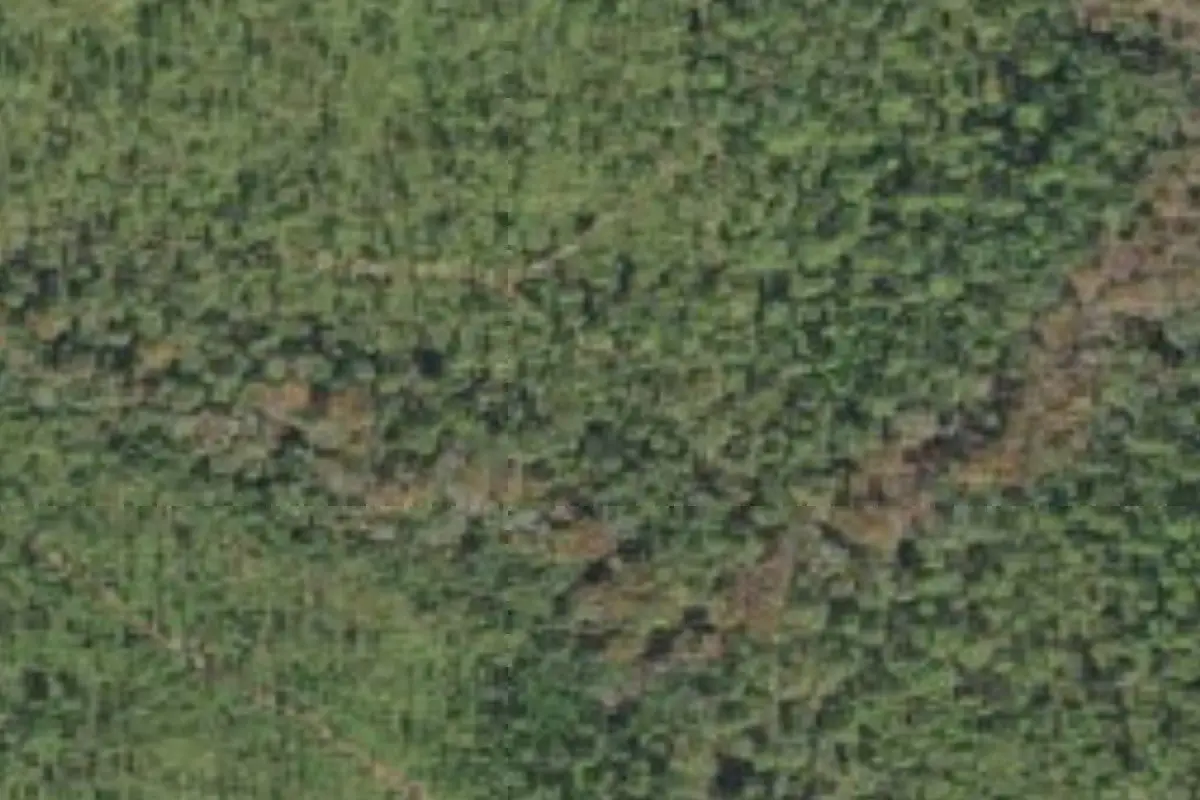 Aerial view of Bayard Conservation Area campsites