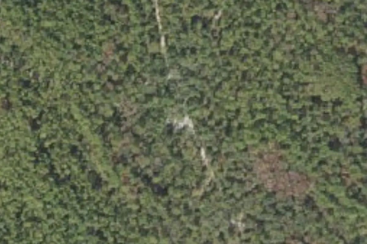Aerial view of Bootleggers Campground Jennings State Forest