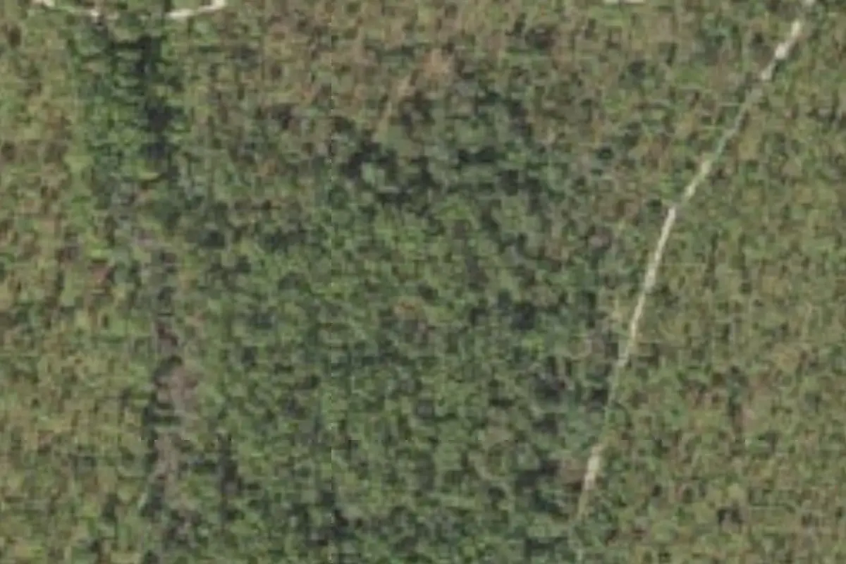 Aerial view of Hammock Campground Jennings State Forest