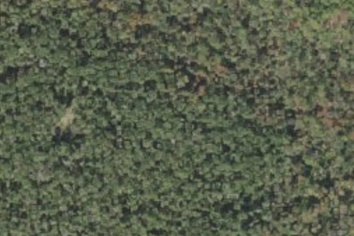 Aerial view of Jennings State Forest primitive campsites