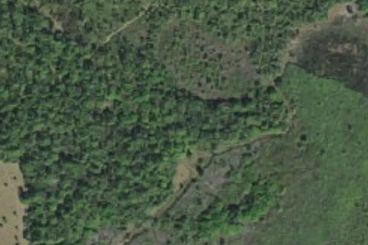Aerial view of Boy Scout Camp