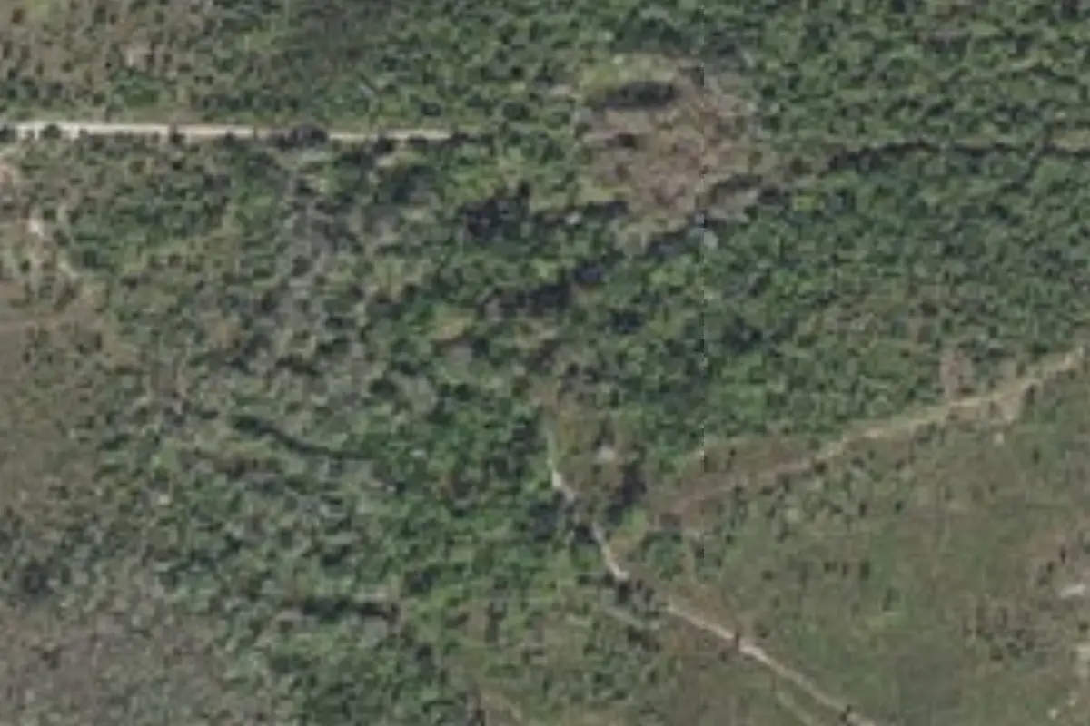 Aerial view of Kirkland Hammock Primitive Campsite Picayune Strand State Forest