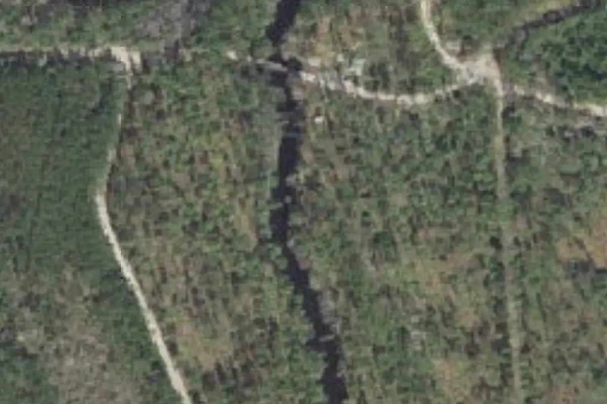 Aerial view of Tate's Hell State Forest primitive campsites