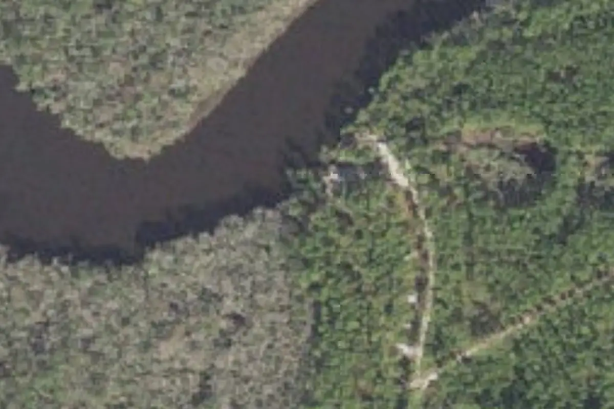 Aerial view of Tate's Hell State Forest Womack Creek Campground