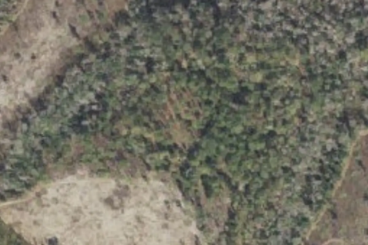 Aerial view of Bear Creek Group Camp Lake Talquin State Forest