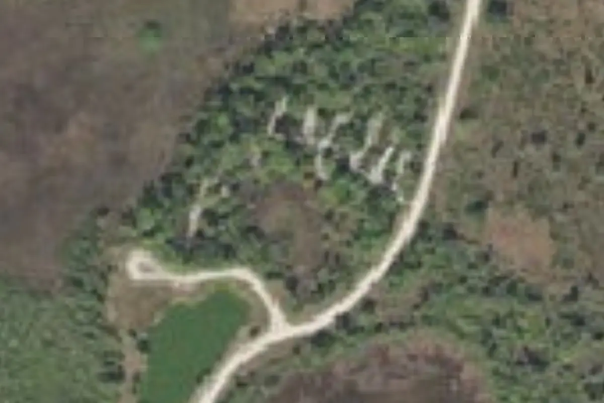 Aerial view of Panther Pond Primitive Campground Okaloacoochee Slough State Forest