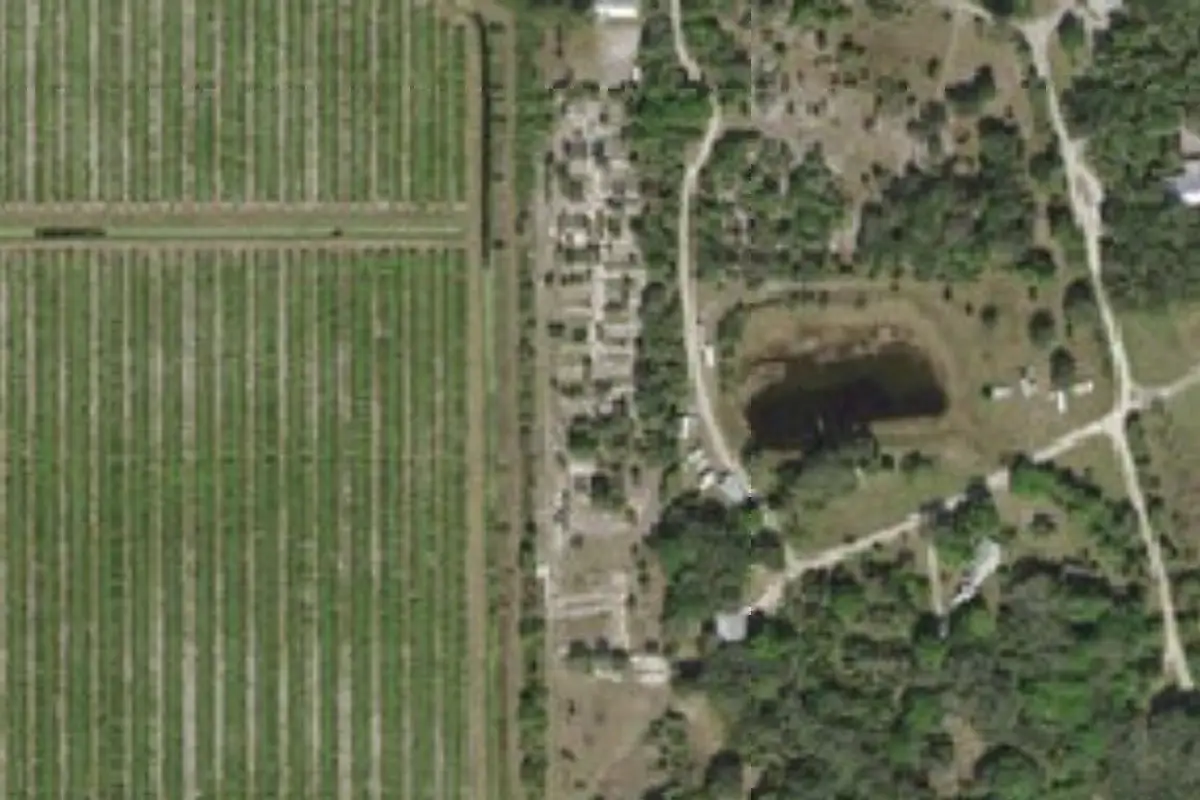 Aerial view of Vitambi Springs Resort & Camp (Palm Forest RV Park)
