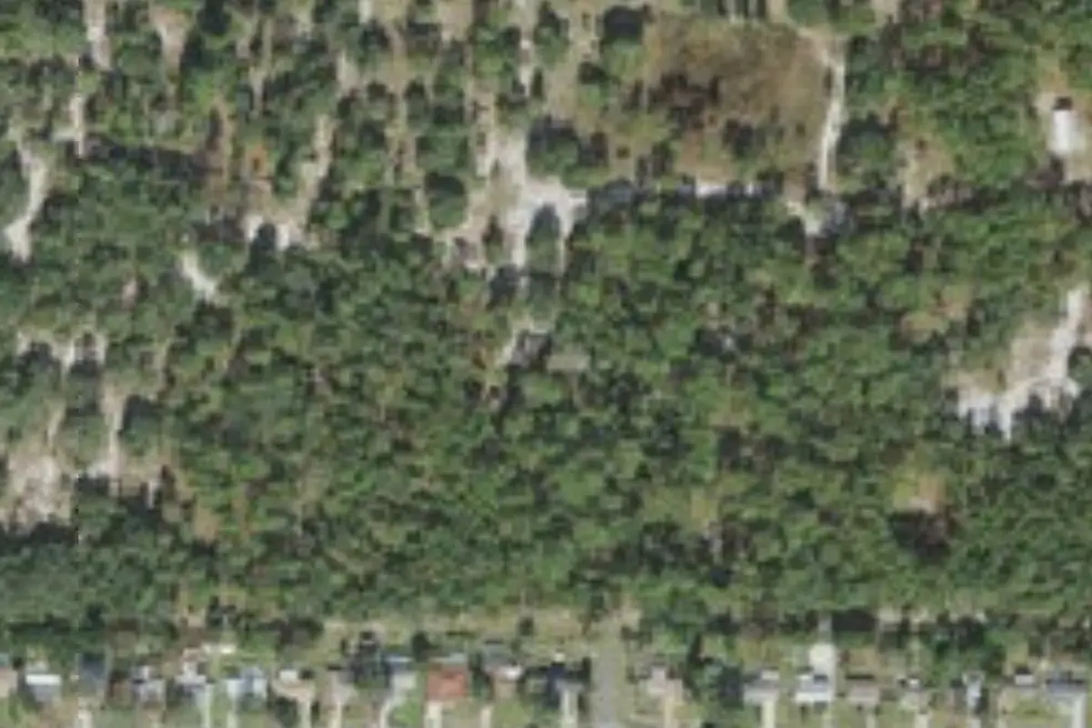 Aerial view of Fox Squirrel Trail