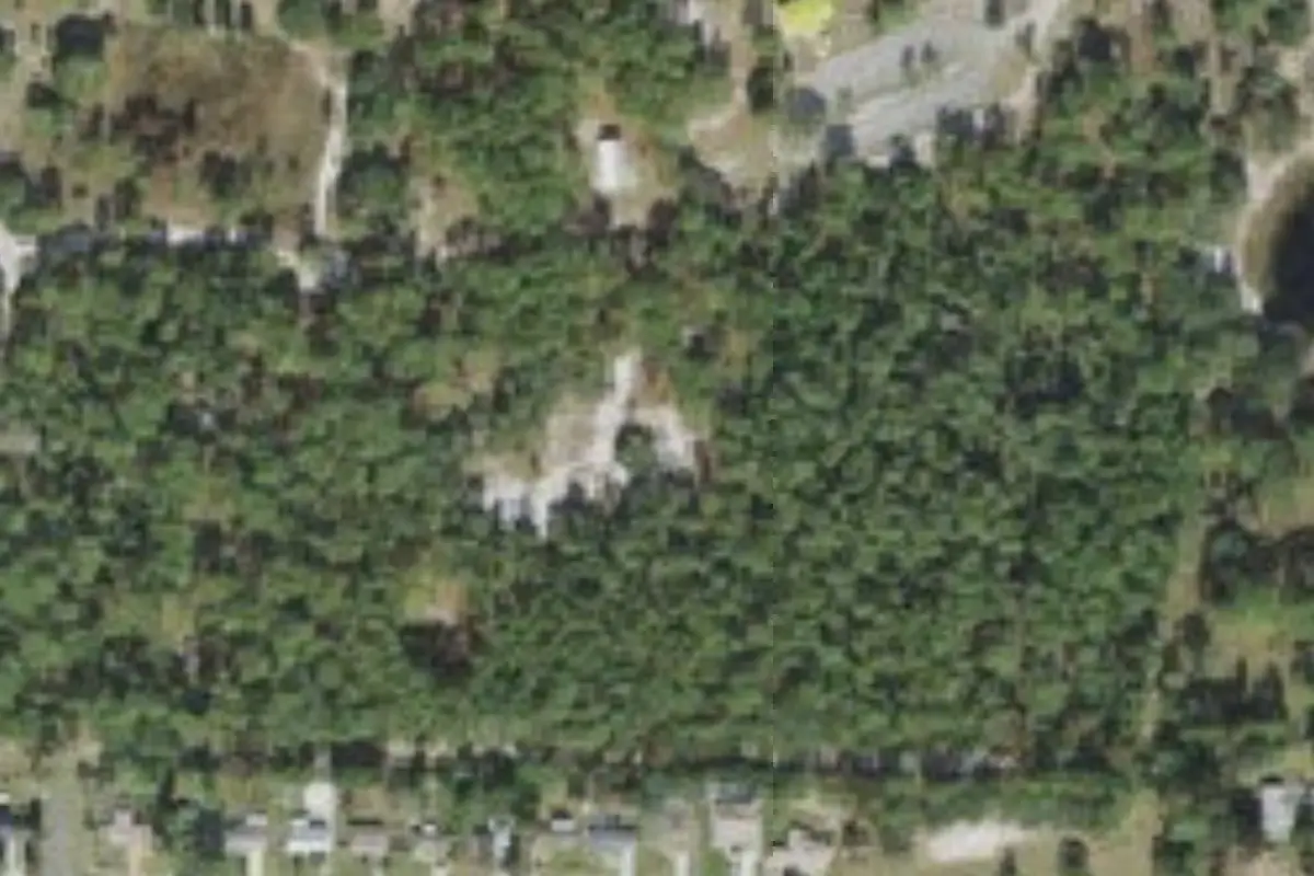 Aerial view of Sand Hill Scout Reservation – 11 - Pine Meadow