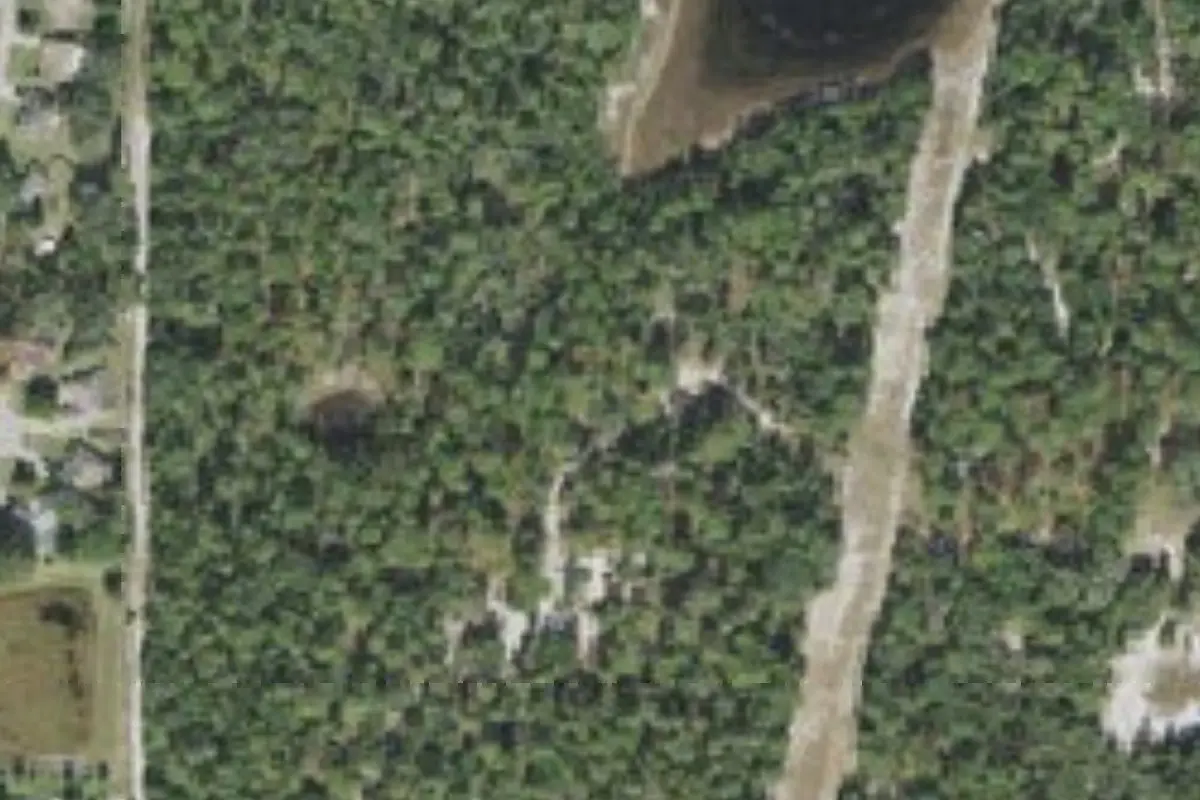 Aerial view of Possum Hollow (campsite #5, Sand Hill Scout Reservation)