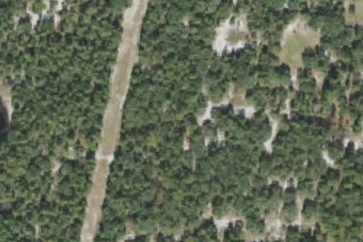 Aerial view of Quail Hollow (campsite #8, Sand Hill Scout Reservation)