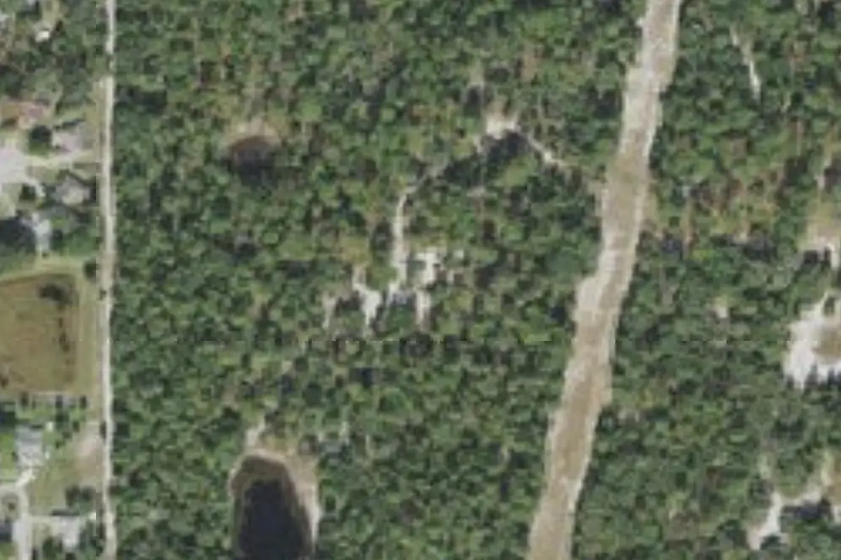 Aerial view of Raccoon Run (campsite #6, Sand Hill Scout Reservation)