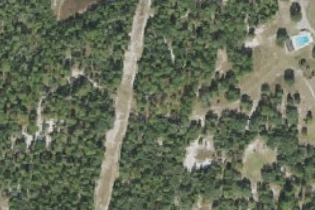 Aerial view of Toad Hollow (campsite #4, Sand Hill Scout Reservation)