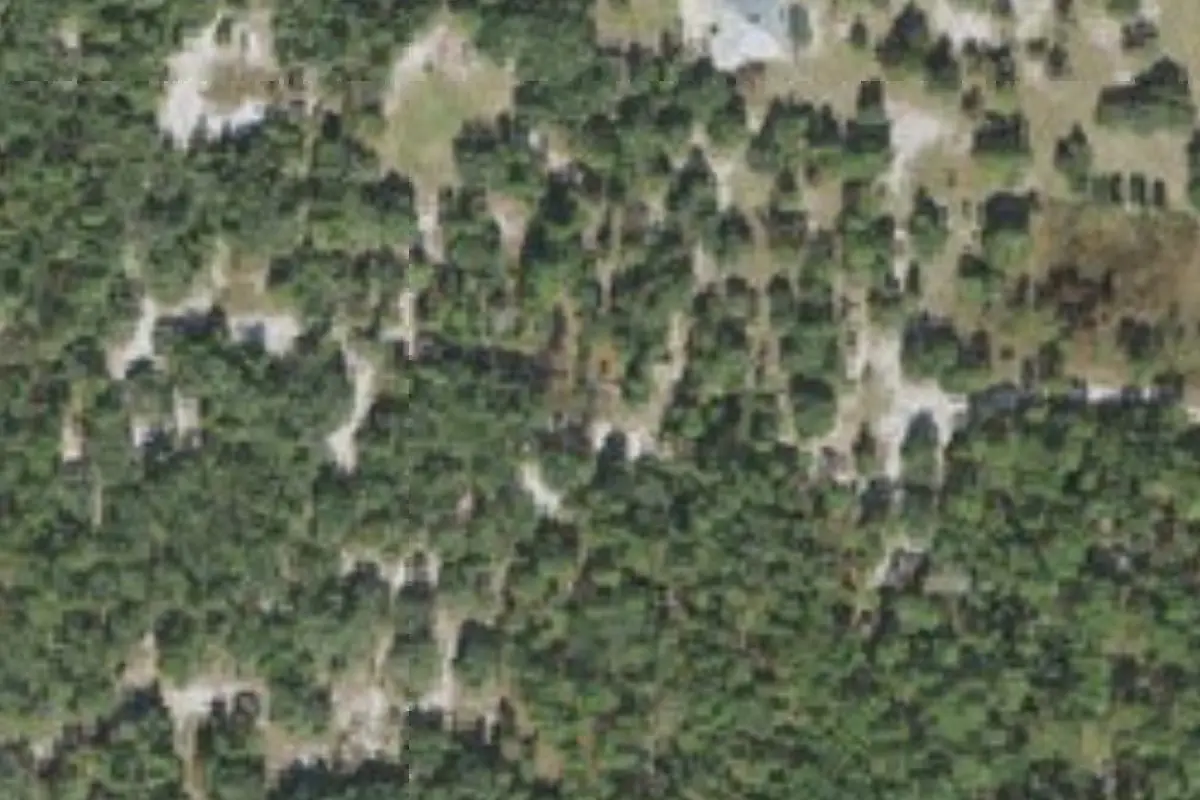 Aerial view of Wild Cherry Meadow (campsite #9, Sand Hill Scout Reservation)