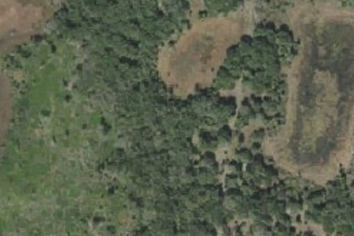 Aerial view of Hickory Hammock Campsite