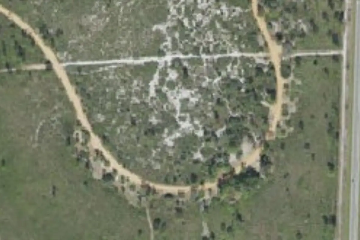 Aerial view of Highlands Hammock State Park