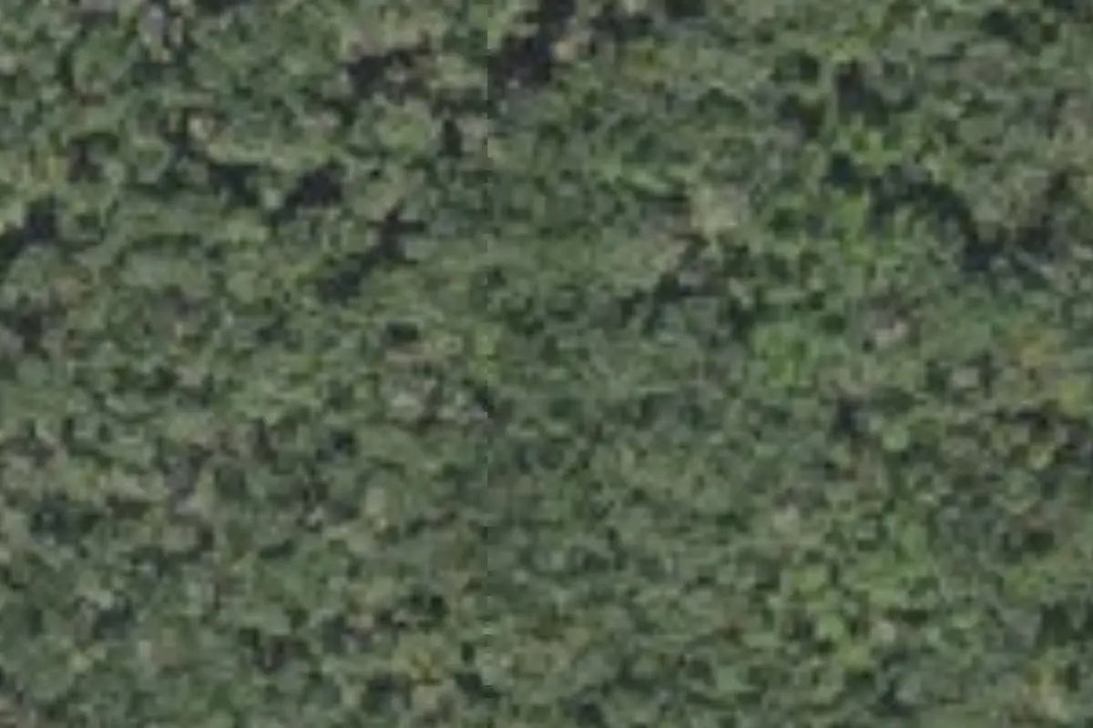 Aerial view of Otter