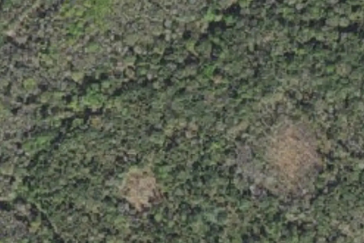 Aerial view of Fort Drum Marsh Conservation Area campsites