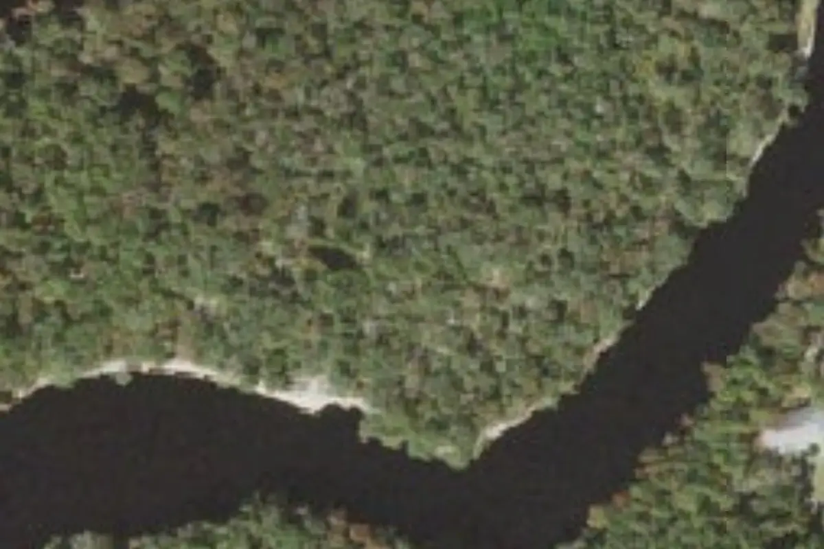Aerial view of Dowling Park River Camp
