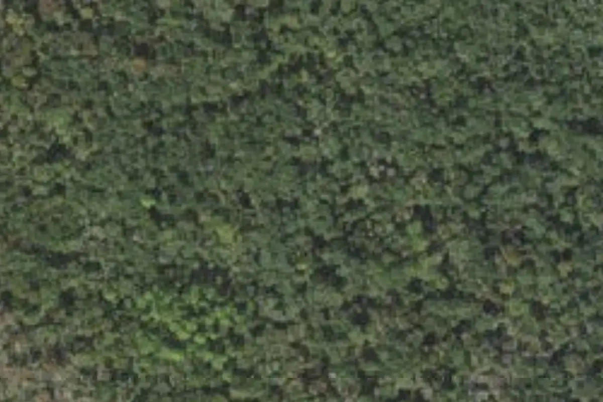 Aerial view of Backcountry campsites (2 sites)