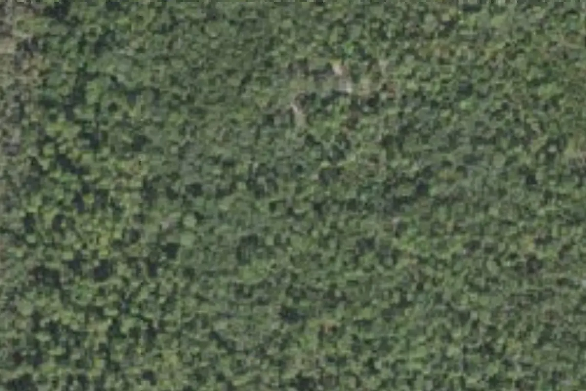 Aerial view of Deerhaven Retreat and Conference Center