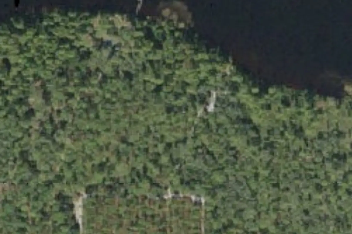 Aerial view of Lake Dorr Cabin
