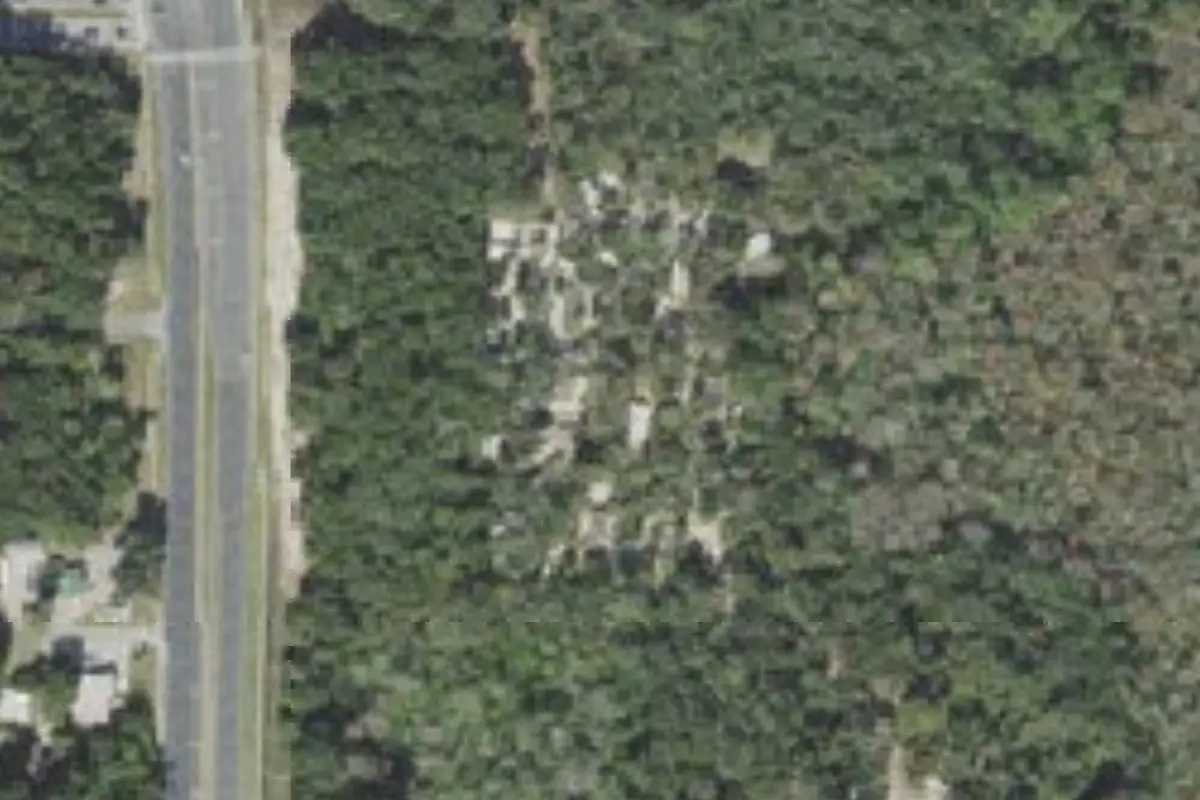 Aerial view of Lake Griffin State Park