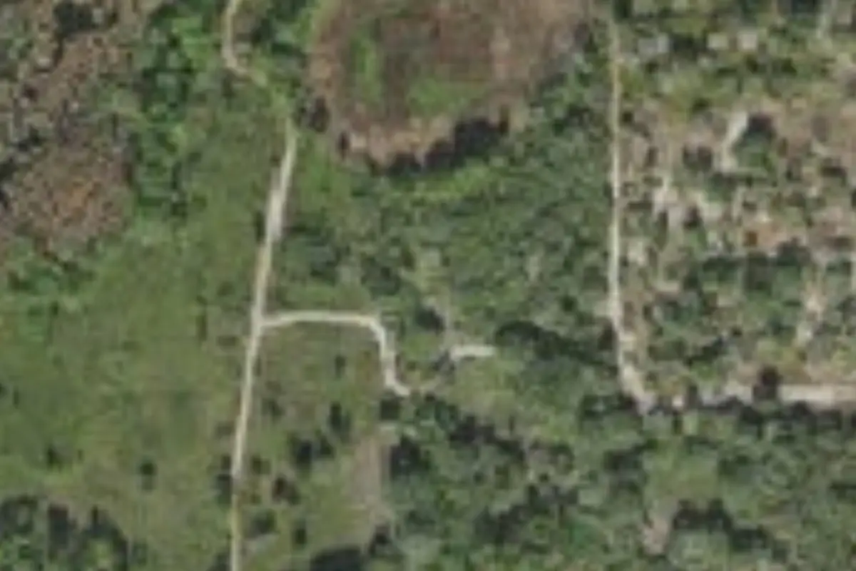 Aerial view of Lake Louisa State Park