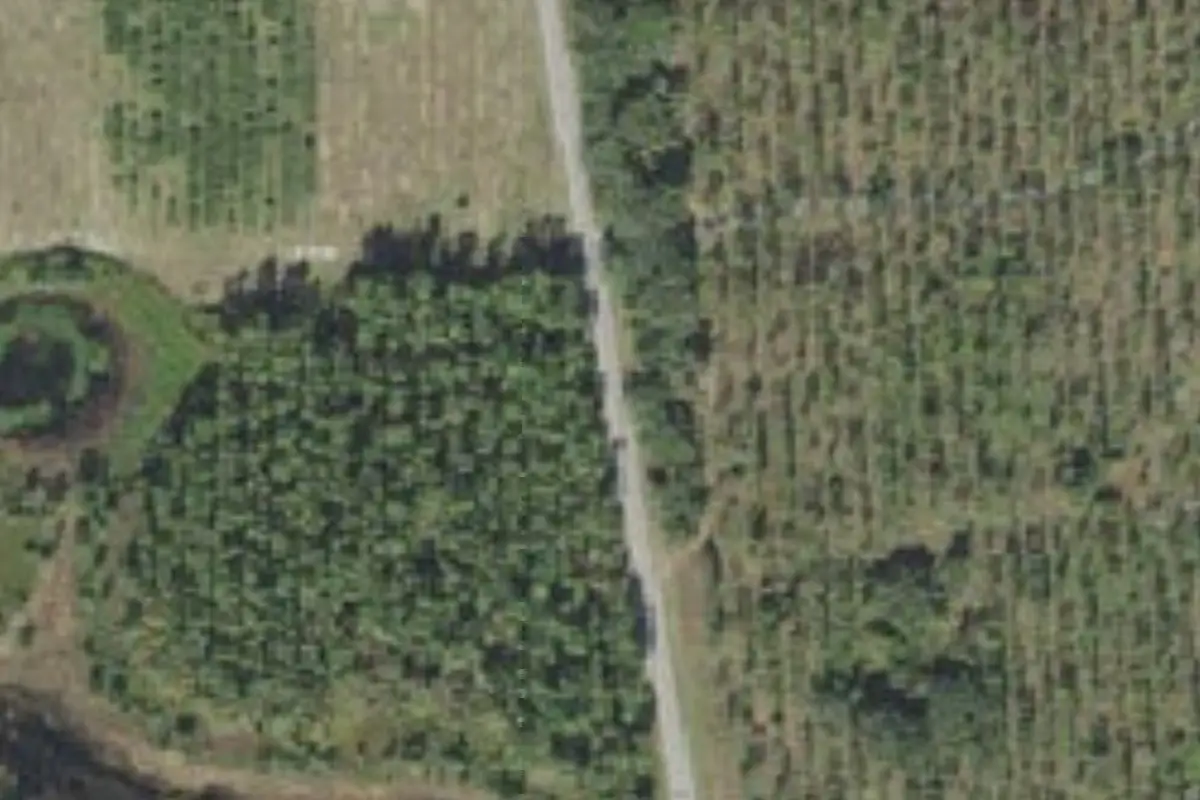 Aerial view of Pine Lake Retreat Center