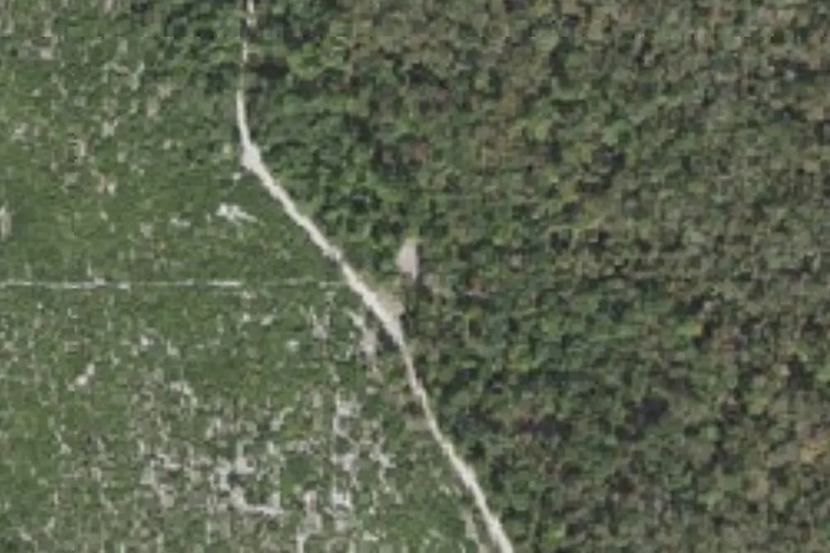 Aerial view of Seminole State Forest primitive campsites