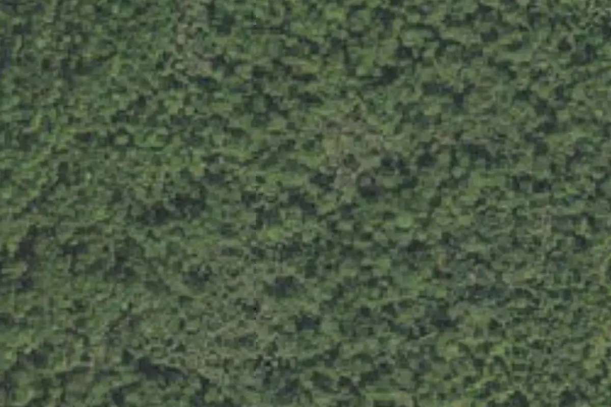 Aerial view of Wekiva Campground