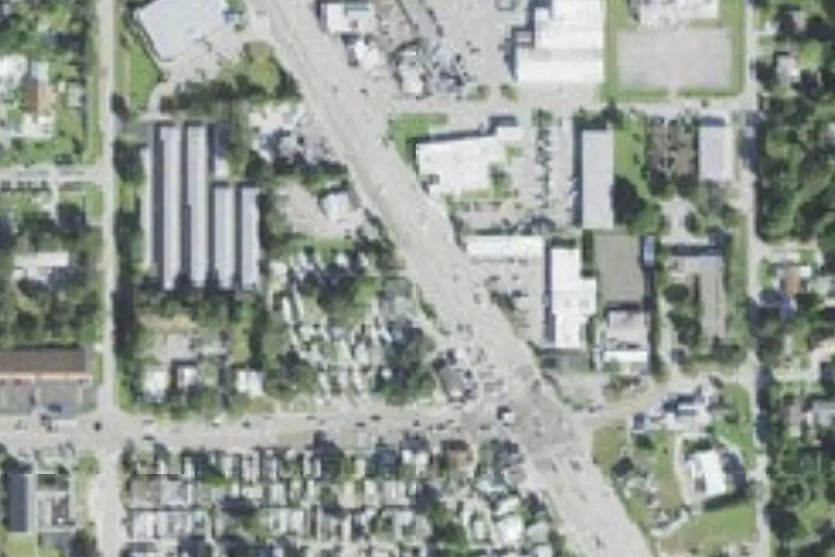 Aerial view of Coconut Palms