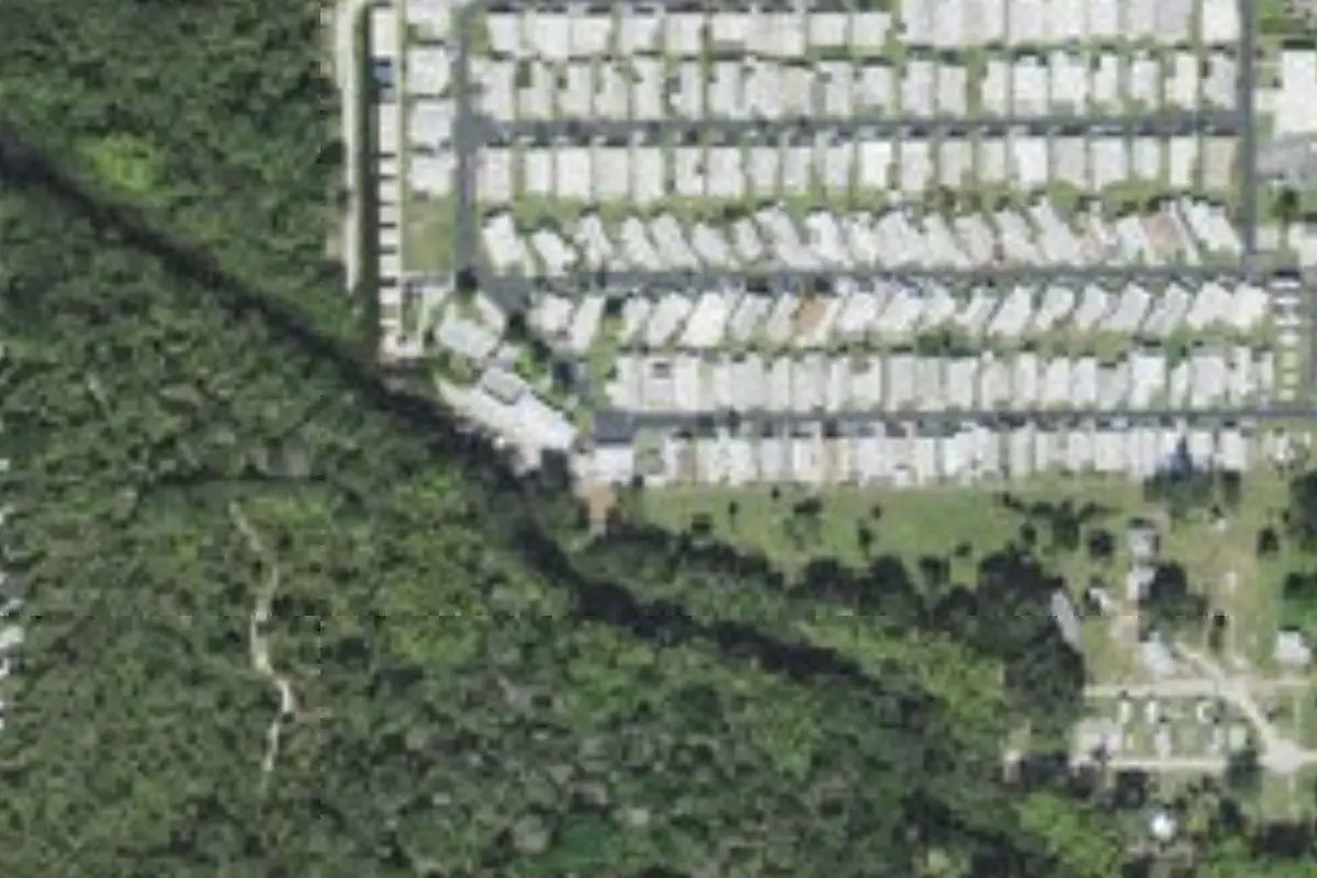 Aerial view of Sunny Grove Park