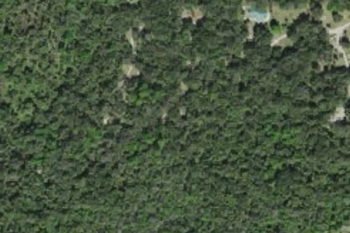 Aerial view of Caloosahatchee Regional Park (primitive campground)