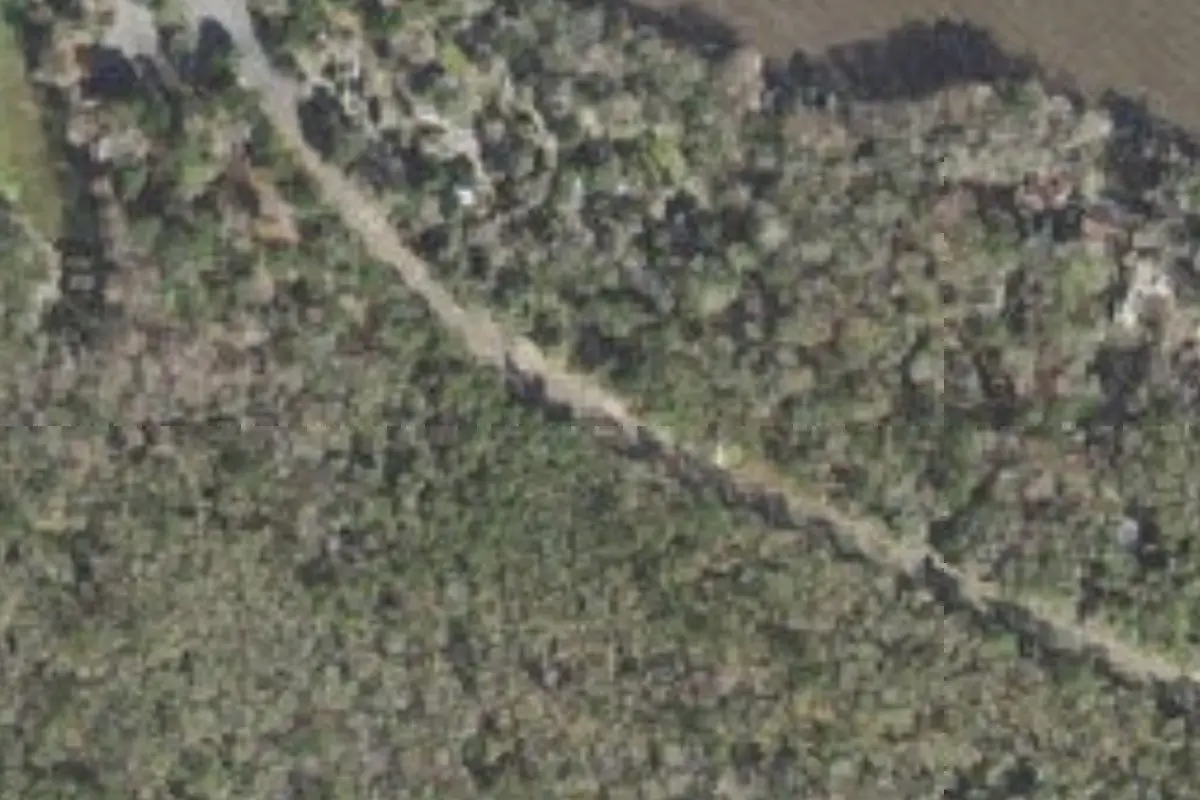 Aerial view of Coe Landing