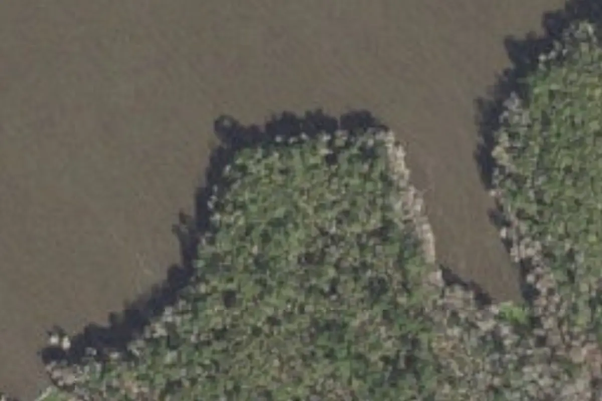 Aerial view of Lake Talquin State Forest primitive campsites