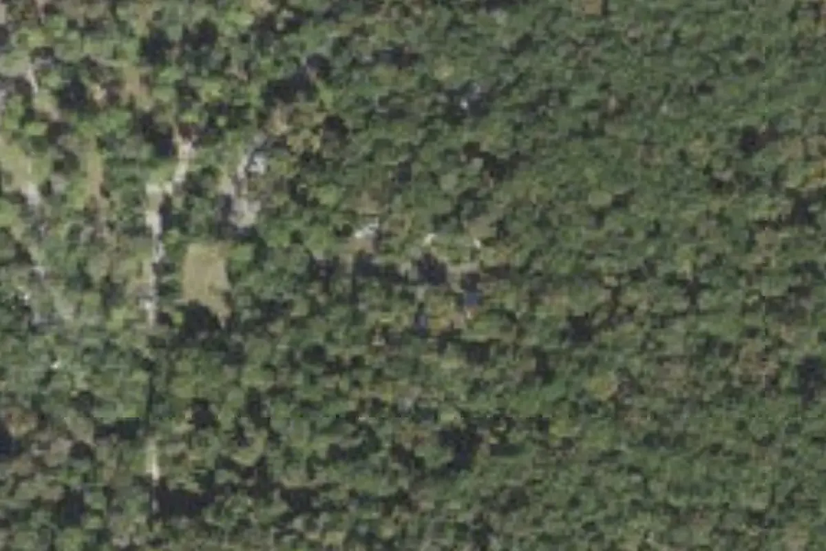 Aerial view of Fanning Springs State Park