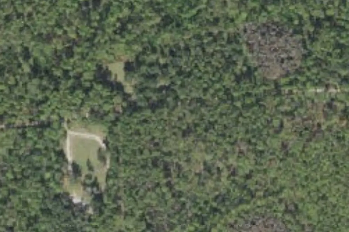 Aerial view of Tidewater Campground Goethe State Forest