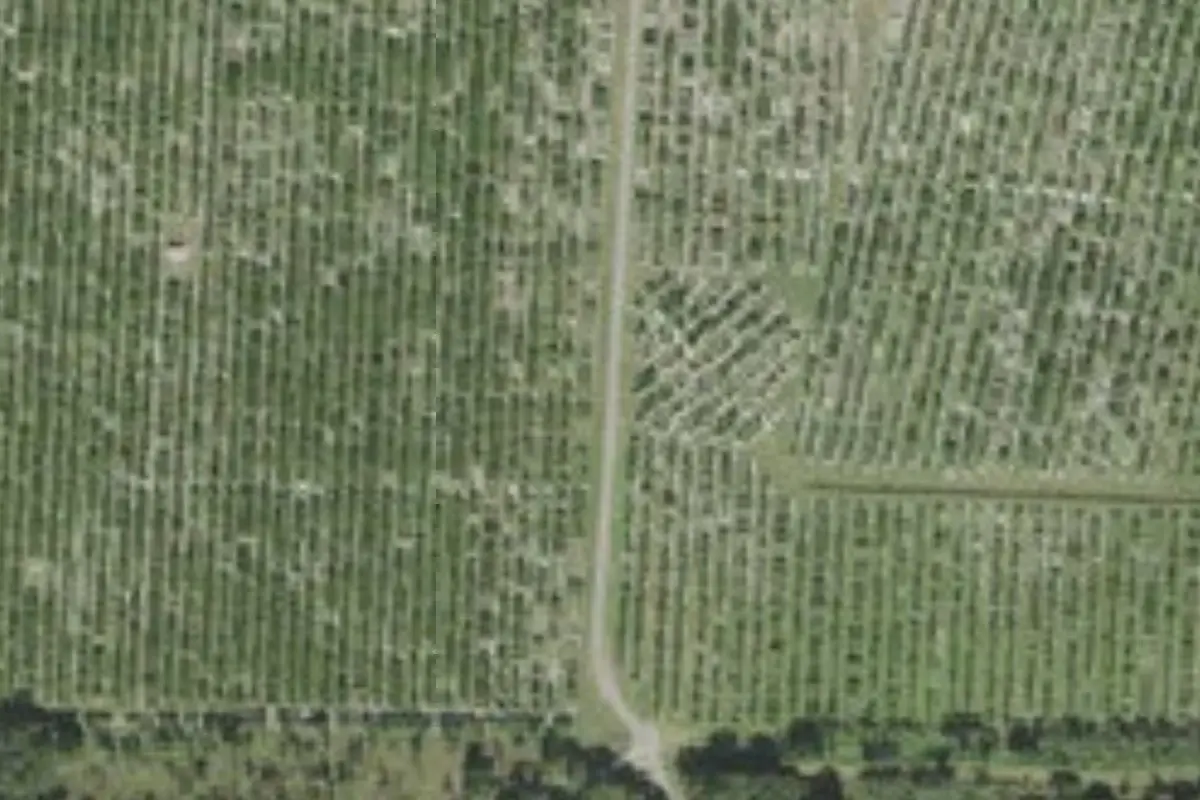 Aerial view of Duette Preserve
