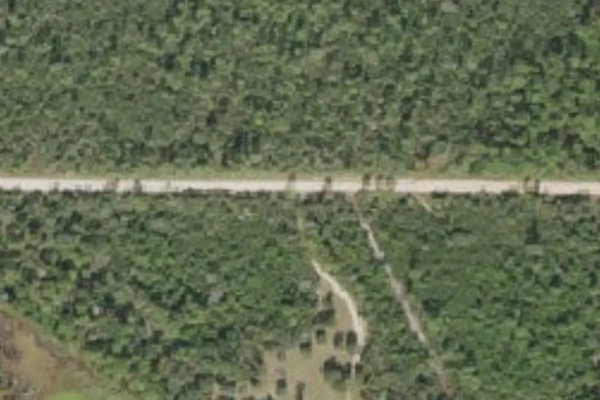 Aerial view of Doe Lake Group Site (Doe Lake Group Camp)