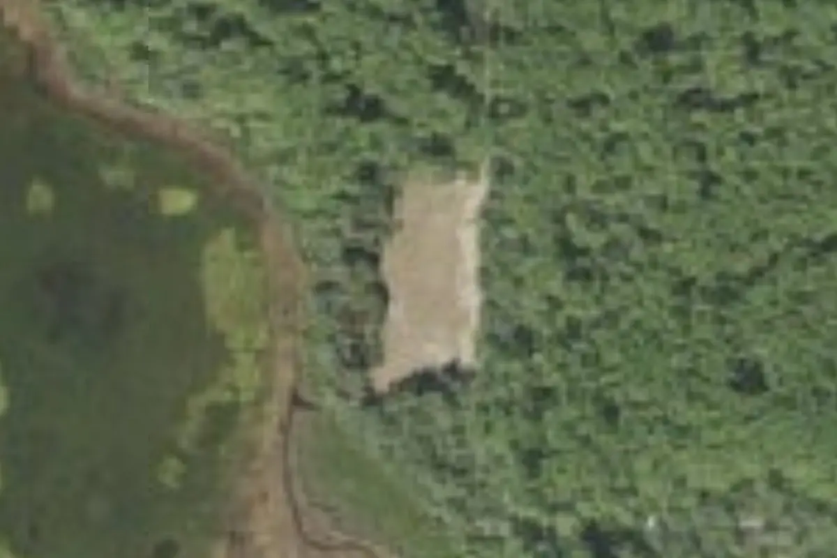 Aerial view of Grassy pond