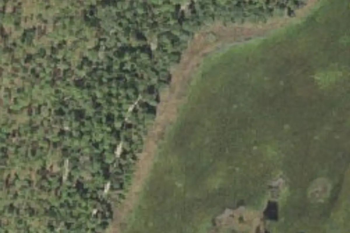 Aerial view of Lake Delancy West Campground (FS: Lake Delancy West OHV Campground)