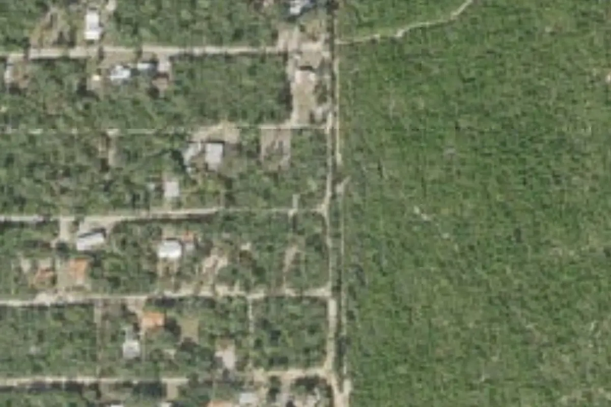 Aerial view of Lake Oklawaha Resort