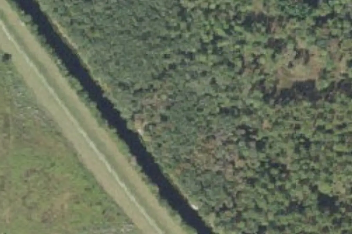 Aerial view of Ocklawaha Prairie Restoration Area campsites