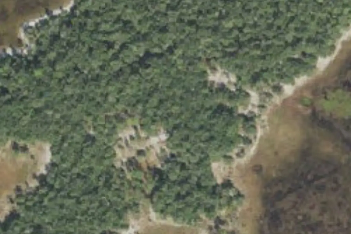 Aerial view of Ross Prairie State Forest primitive campsites